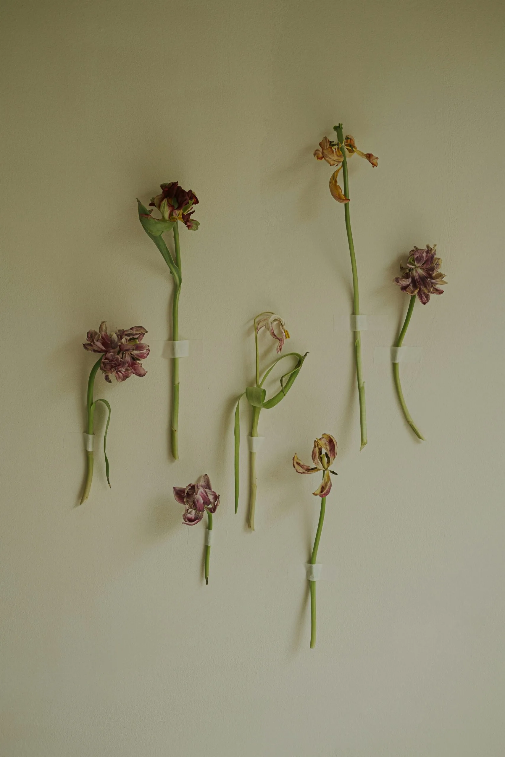 a bunch of flowers that are on a wall