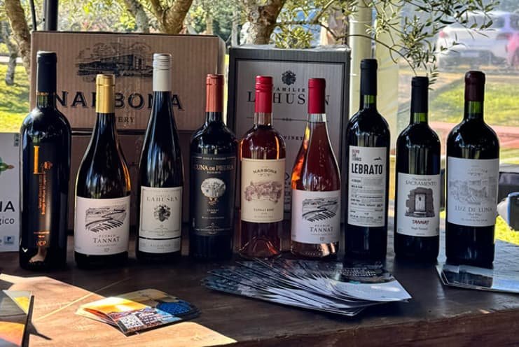 vinos de Colonia