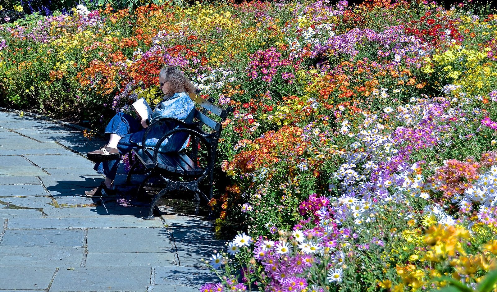 Persona leyendo al aire libre en un jardín: el contacto con la naturaleza se asocia a comer más sano